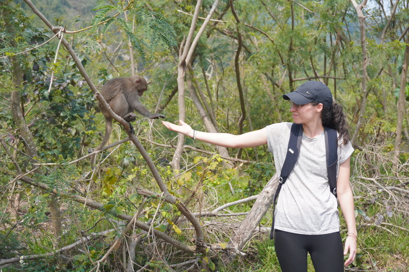 2025 Spring Ecological Monkey TourImage